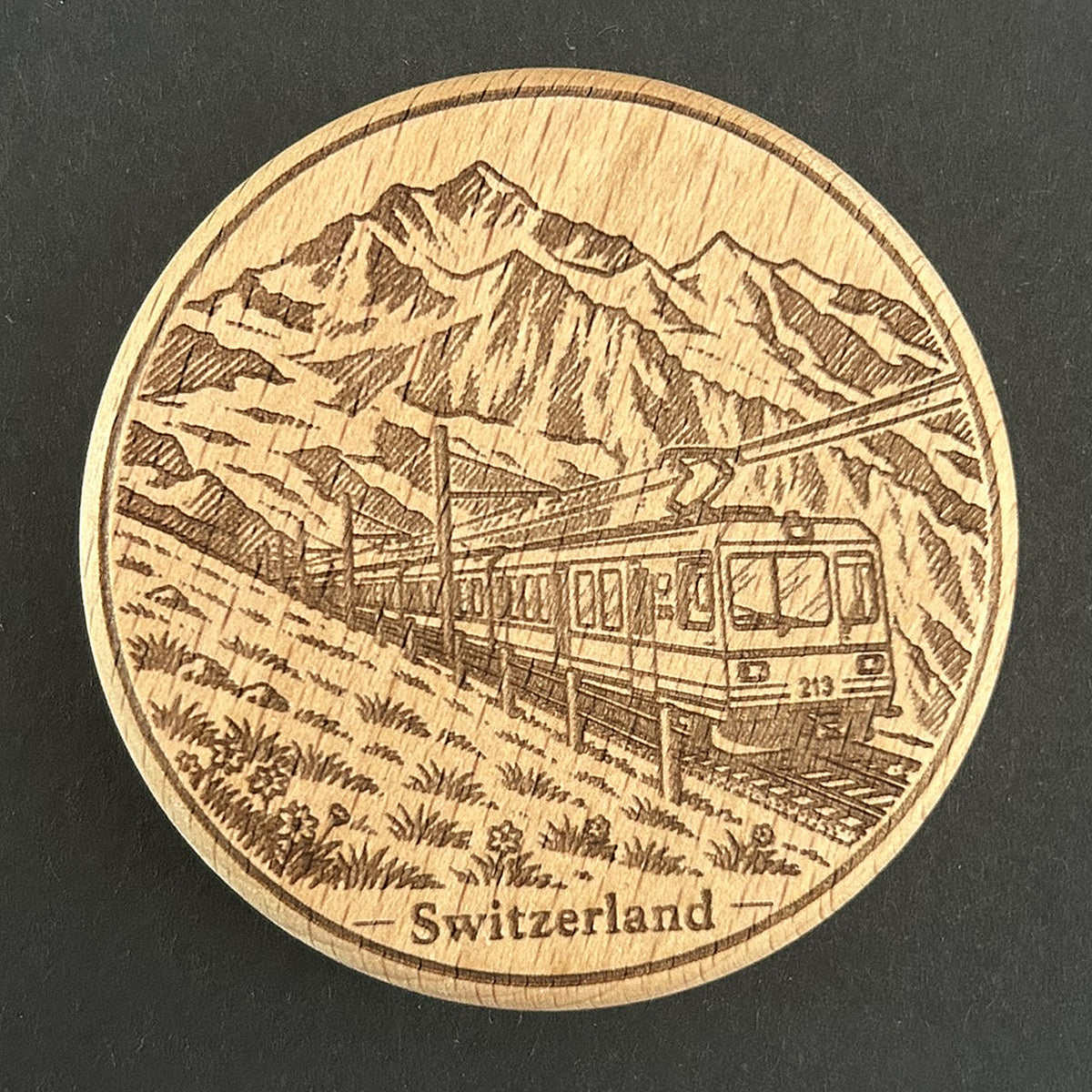 Schweizer Gebirgsbahn (SW-008)