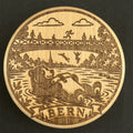 Berner Bär in der Aare (SW-0044)